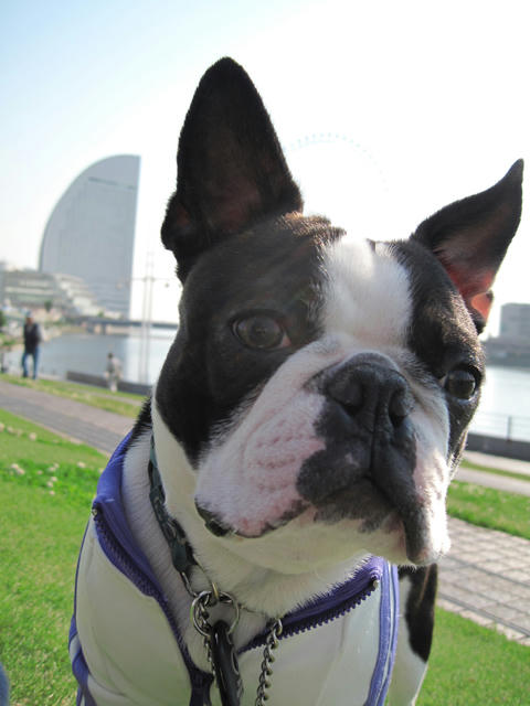 20090429_sanpo14.jpg