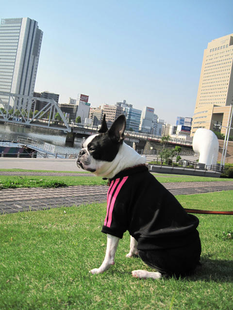 20090429_sanpo15.jpg