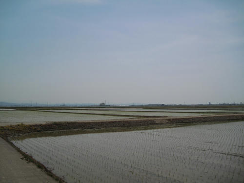 20090502_niigata08.jpg