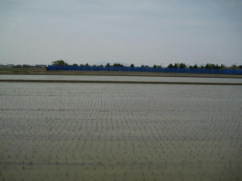 20090502_niigata09.jpg