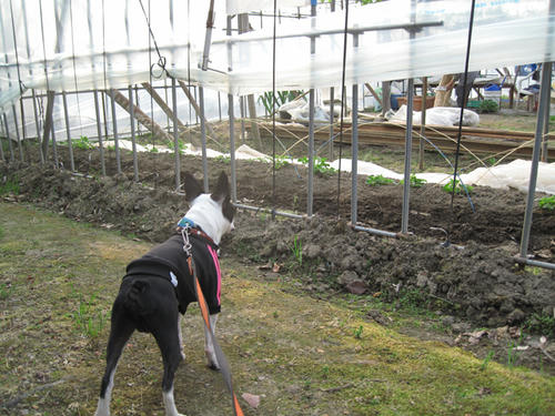 20090503_niigata02.jpg