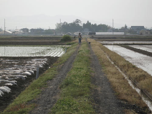 20090503_niigata06.jpg