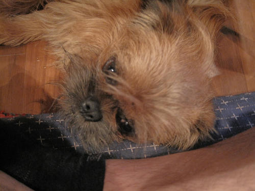 20090505_ginbao01.jpg