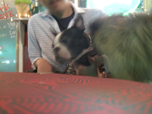 20090509_jackcafe01.jpg
