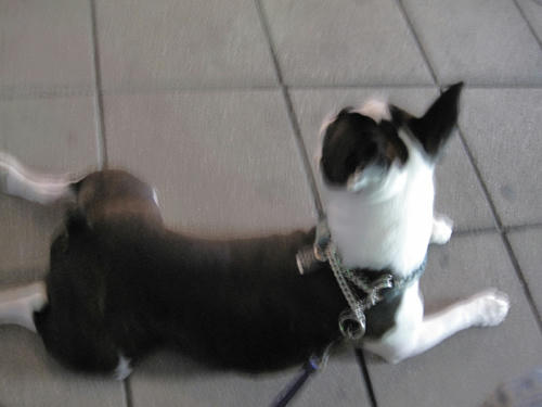 20090509_jackcafe02.jpg