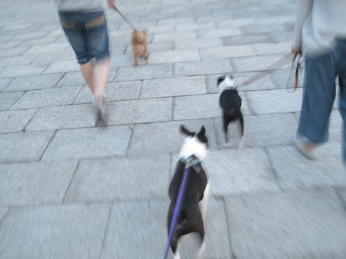20090510_morning01.jpg