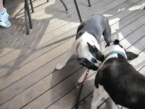 20090510_morning02.jpg