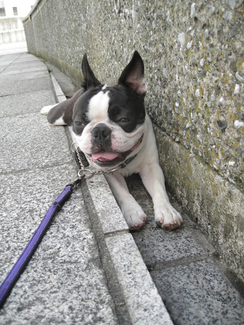 20090510_morning07.jpg