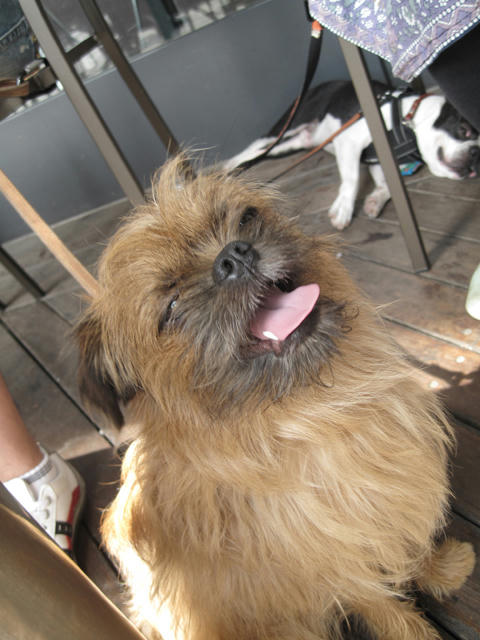 20090523_morning12.jpg