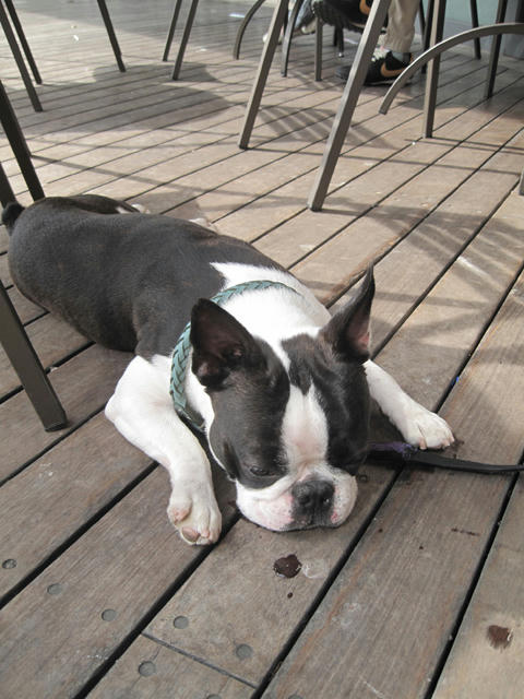 20090523_morning13.jpg