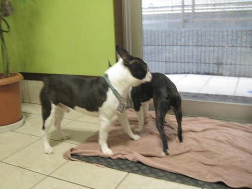 20090531_tc07.jpg