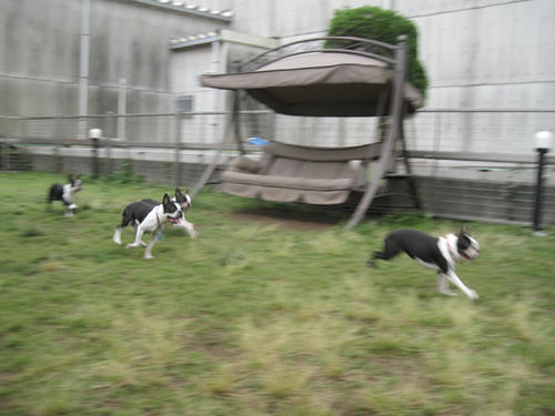 20090531_tc10.jpg