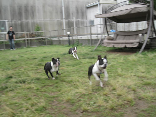 20090531_tc12.jpg