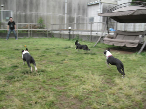 20090531_tc11.jpg