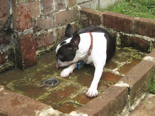 20090531_tc20.jpg