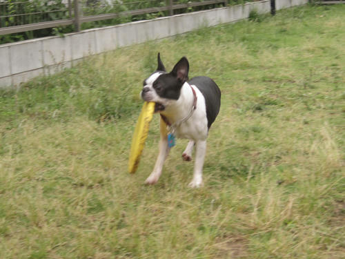20090531_tc23.jpg