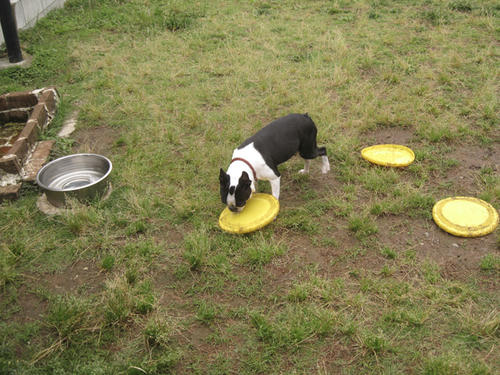 20090531_tc25.jpg