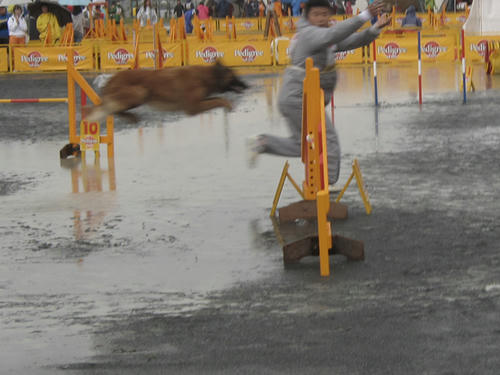 20090606_intera05.jpg