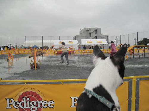 20090606_intera06.jpg
