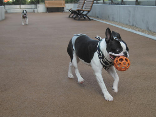 20090607_run05.jpg