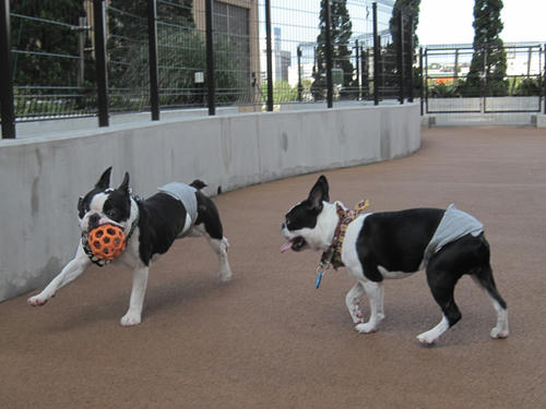 20090607_run06.jpg