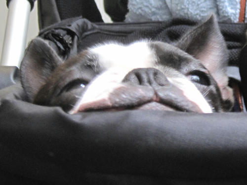 20090614_Start04.jpg