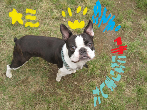 20090619_shio1yearsold.jpg