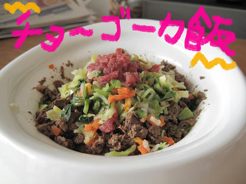 20090619_shiofood.jpg