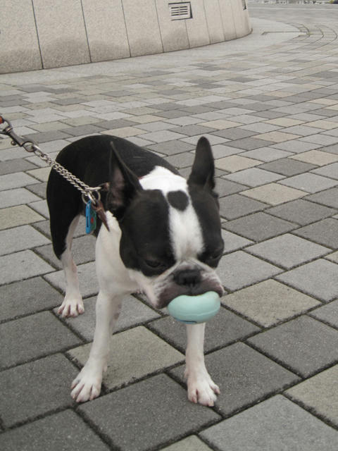 20090620_sanpo02.jpg