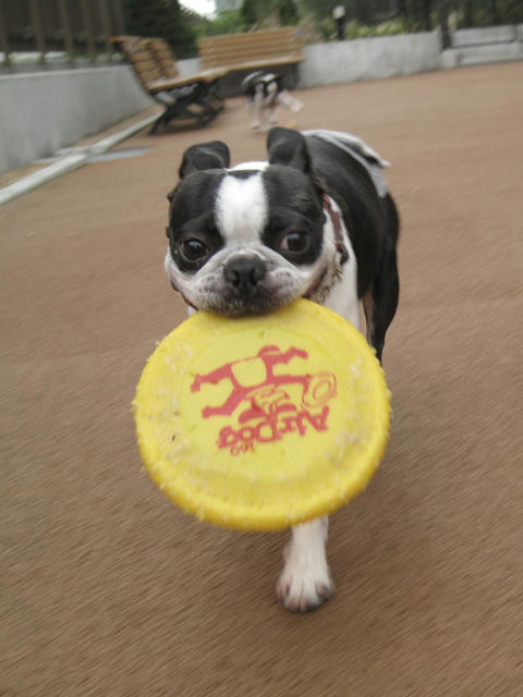 20090620_minirun04.jpg