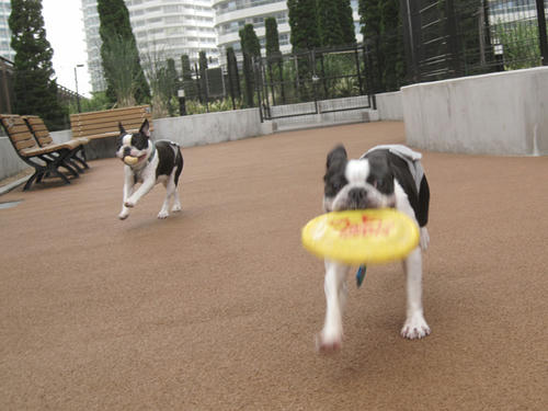 20090620_minirun02.jpg