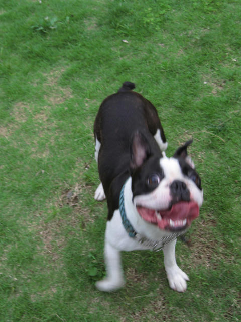 20090620_tc03.jpg