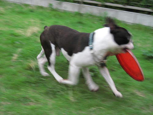 20090620_tc01.jpg