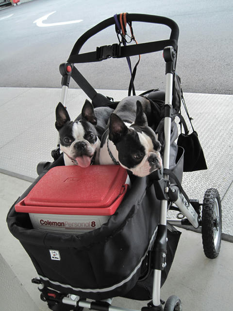 20090627_parking01.jpg