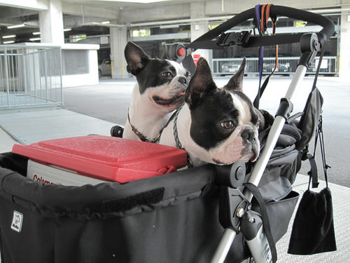 20090627_parking02.jpg