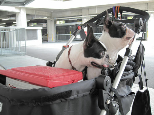 20090627_parking03.jpg