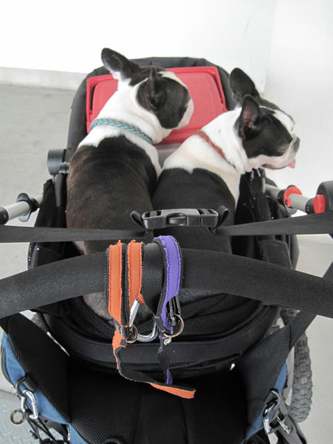 20090627_parking04.jpg