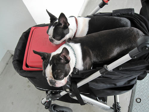 20090627_parking05.jpg
