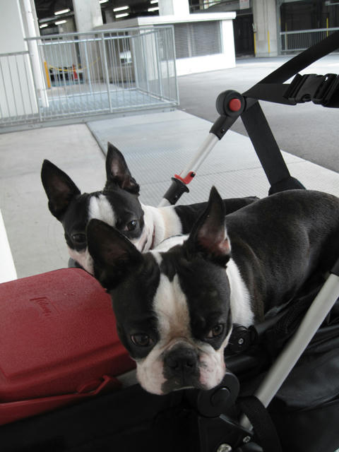 20090627_parking06.jpg