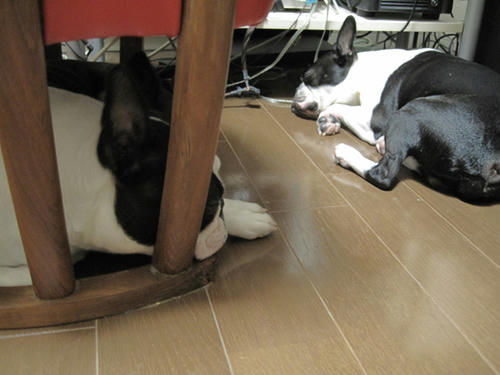 20090628_rokushio01.jpg