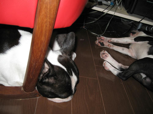 20090628_rokushio03.jpg