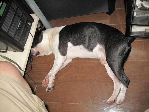 20090628_rokushio04.jpg