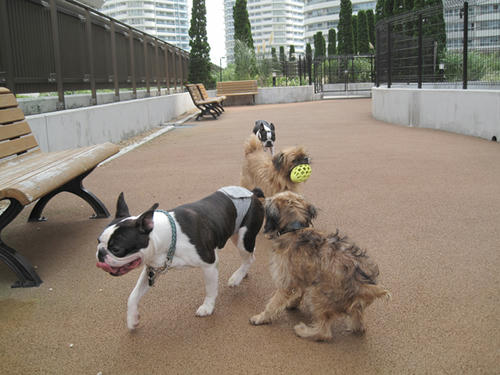 20090705_run01.jpg