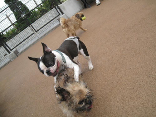 20090705_run07.jpg