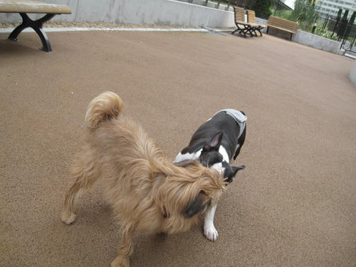 20090705_run09.jpg