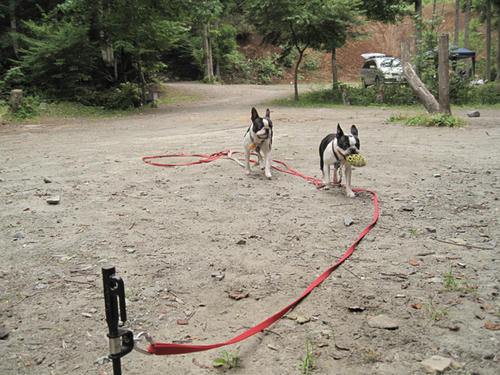 20090711_camp03.jpg