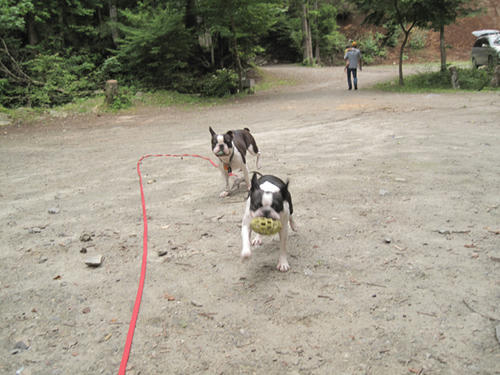 20090711_camp04.jpg