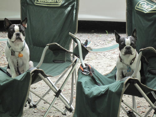 20090712_camp01.jpg