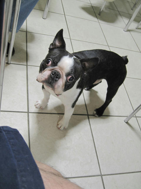 20090712_tc02.jpg