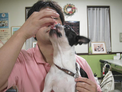 20090712_tc05.jpg